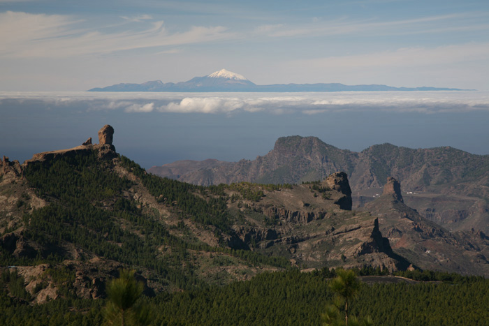 Gran Canaria, Pico de las Nieves, Blick Pico del Teide - mittelmeer-reise-und-meer.de