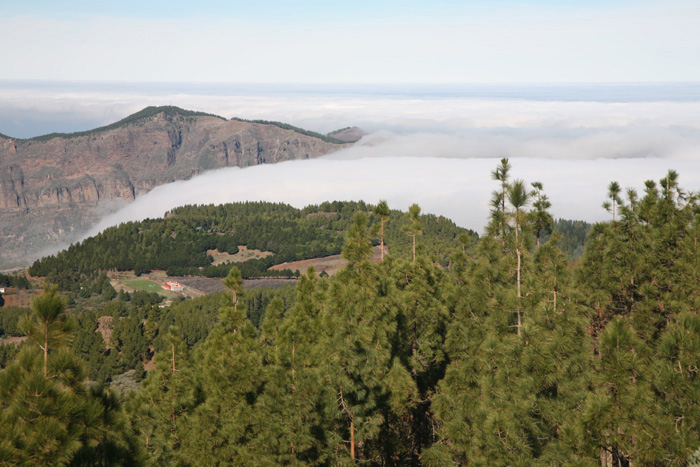 Gran Canaria, Pico de las Nieves, Wolkenband - mittelmeer-reise-und-meer.de