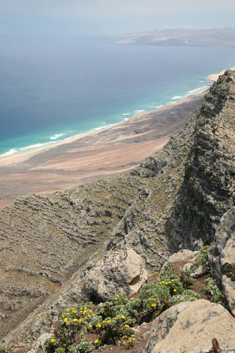 Fuerteventura, Pico de La Zarza, Playa de Barlovento - mittelmeer-reise-und-meer.de