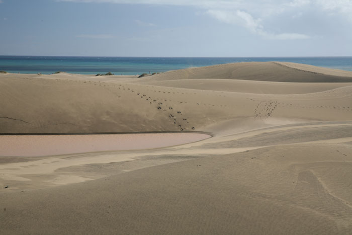 Gran Canaria, Dünen Maspalomas, Dünen mit Meerblick, Foto 1 - mittelmeer-reise-und-meer.de