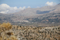 Lassithi-Hochebene, Panorama Tzermiado, Kreta