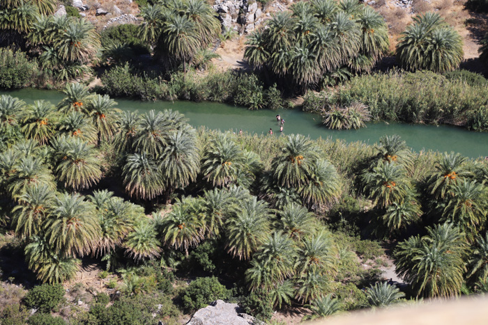 Kreta, Preveli Beach, Mündung Grüner Fluss, Kissano Farragi - mittelmeer-reise-und-meer.de