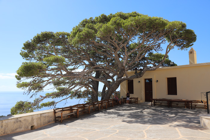 Kreta, Kloster Preveli, Hauptplatz mit großem Baum mit Glocken - mittelmeer-reise-und-meer.de