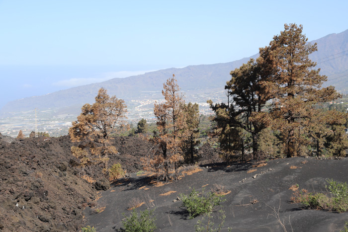 La Palma, Volcán Cumbre Vieja, Blicke von der Camino Cabreza La Vaca - mittelmeer-reise-und-meer.de