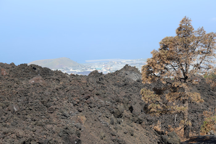 La Palma, Volcán Cumbre Vieja, Blicke von der Camino Cabreza La Vaca - mittelmeer-reise-und-meer.de