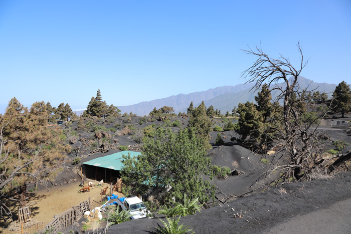 La Palma, Volcán Cumbre Vieja, Landwirtschaft rund um den Vulkan - mittelmeer-reise-und-meer.de