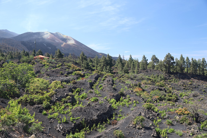 La Palma, Volcán Cumbre Vieja, Landwirtschaft rund um den Vulkan - mittelmeer-reise-und-meer.de