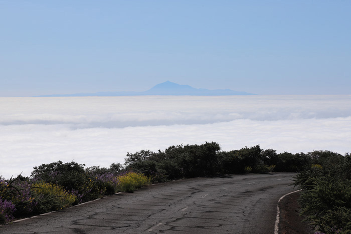 La Palma, LP-4, Lomo del Mosquito, Blick Pico del Teide - mittelmeer-reise-und-meer.de