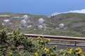 Roque de los Muchachos, Observatorium, Teleskope LST-2, LST-3, LST-4, La Palma