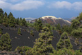 Volcán de Tajogaite, Mirador Volcán de Tajogaite, Vulkan von oben, La Palma