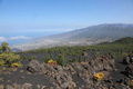 Volcán de Tajogaite, Mirador Volcán de Tajogaite, Los Llanos, El Paso, La Palma