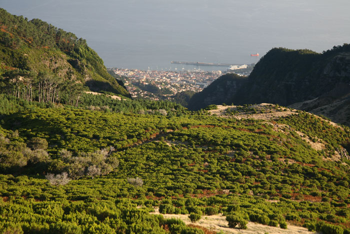 Madeira, Pico de Arieiro, Blick auf Funchal - mittelmeer-reise-und-meer.de