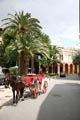 Palma de Mallorca, Pferdekutsche in der Calle Palau Reial, Mallorca