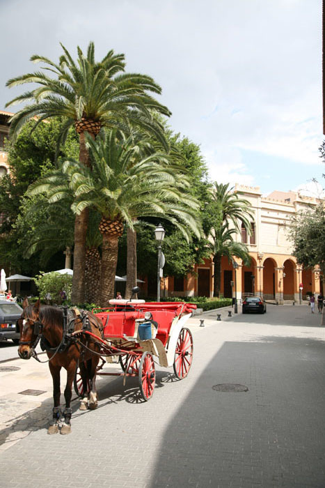 Mallorca, Palma de Mallorca, Pferdekutsche in der Calle Palau Reial - mittelmeer-reise-und-meer.de
