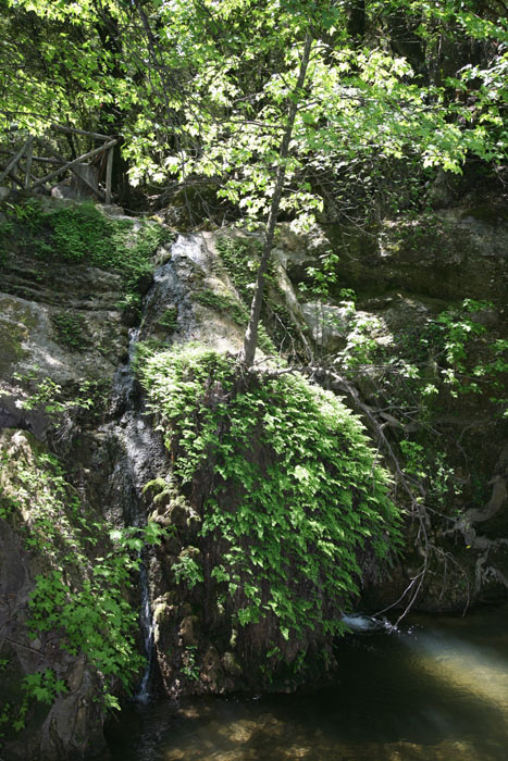 Rhodos, Schmetterlingstal Petaloudes, Wasserfall - mittelmeer-reise-und-meer.de
